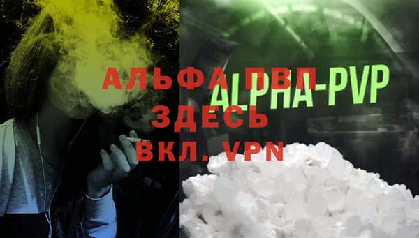 стафф Дмитровск
