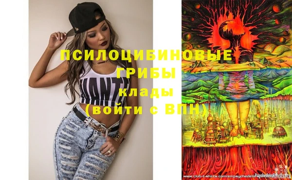 молекула духа Дмитриев