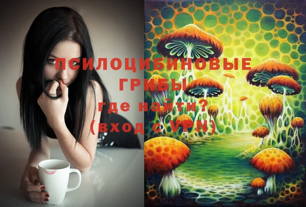 стафф Дмитровск