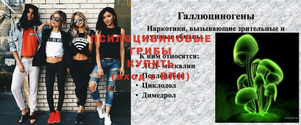 дмт Дмитров