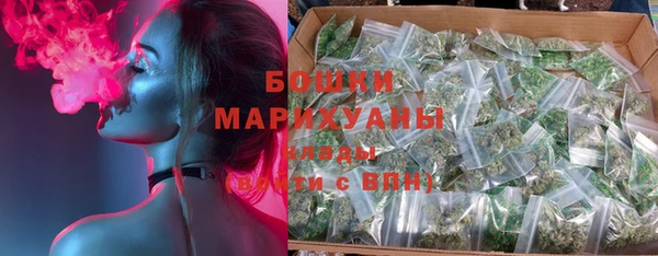 стафф Дмитровск