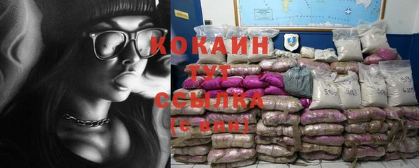 стафф Дмитровск